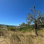 La Bannette - Et Table D'hotes Thoard