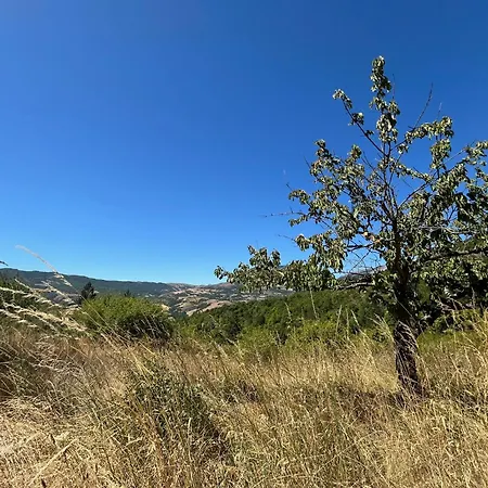 D'hotes Et De La La Bannette Thoard