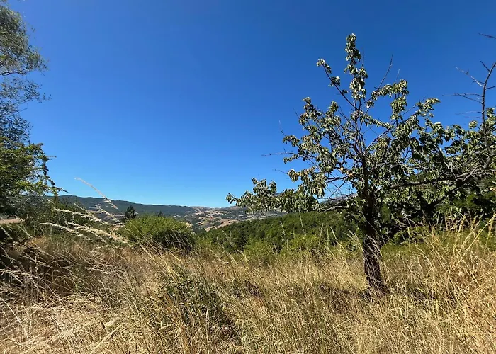 La Bannette - Et Table D'hotes Thoard